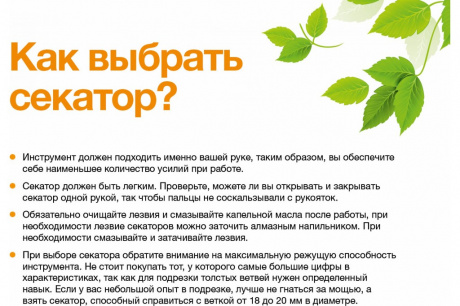 Купить Секатор Fiskars плоскостной Plus Smartfit  P541   1057169 фото №5